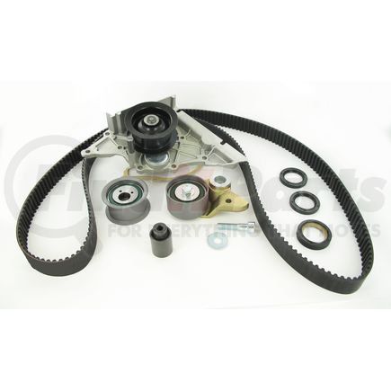 SKF TBK297CWP Timing Belt Kit