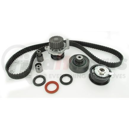 SKF TBK301WP Timing Belt Kit