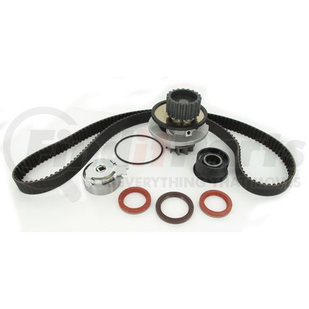 SKF TBK309WP Timing Belt Kit