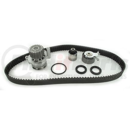 SKF TBK333WP Timing Belt Kit