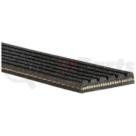 Gates K060539RPM V-RIBBED BELT