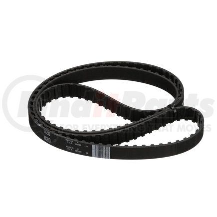 Gates T020 TIMING BELT