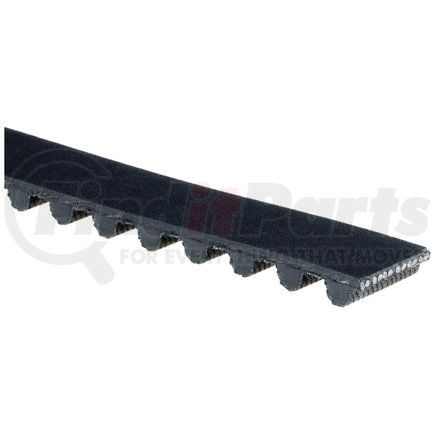 Gates T081 TIMING BELT