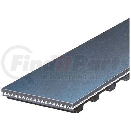 Gates T079 TIMING BELT