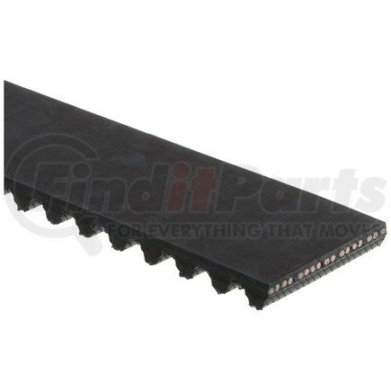 Gates T199 TIMING BELT