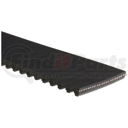 Gates T200 TIMING BELT