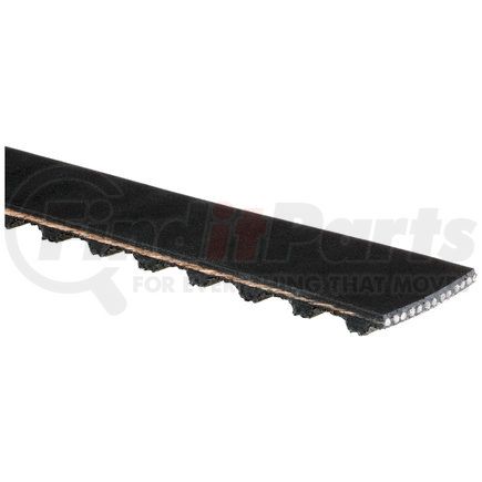 Gates T239 TIMING BELT