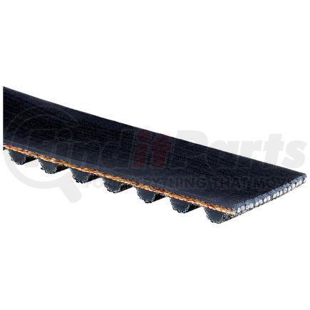 Gates T242 TIMING BELT