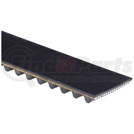 Gates T289 TIMING BELT