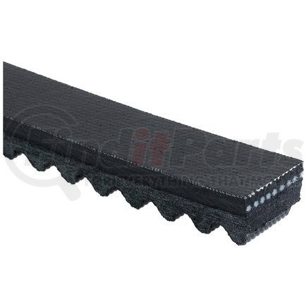 Gates TR28376 TRUCK BELT