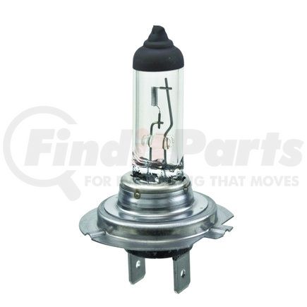 HELLA USA H7 H7 Halogen Bulb