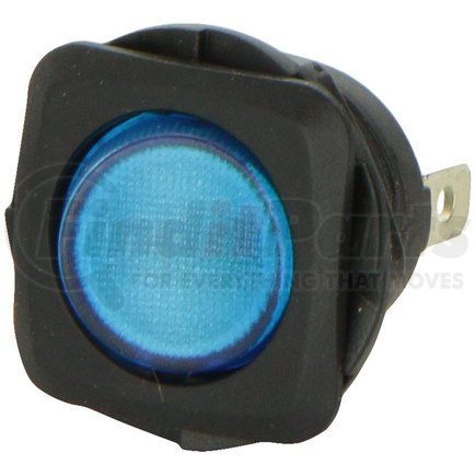 HELLA USA H61926001 Rocker Type Switch