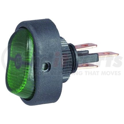 HELLA USA H61920001 Rocker Type Switch