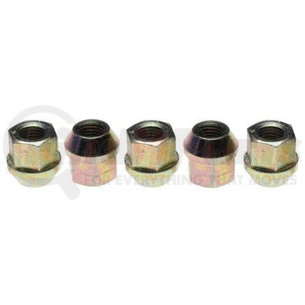 Raybestos 6974N WHEEL LUG NUT