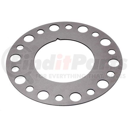 Raybestos BA20603 Hub Correction Plate (Lexus)