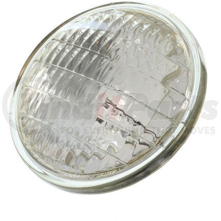 Wagner 4511 Multi Prpse Lght Blb