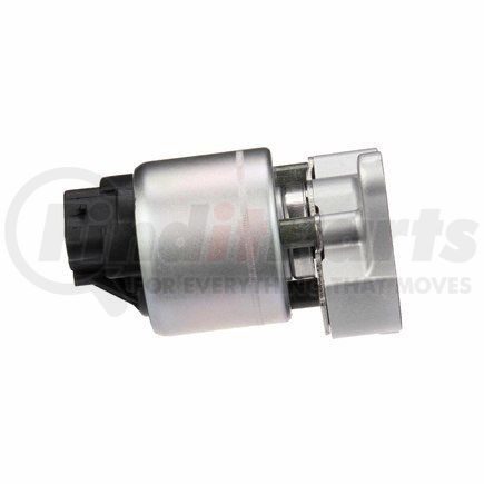 Delphi EG10031 EGR Valve