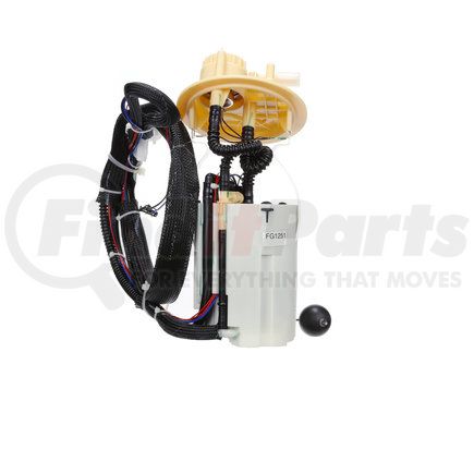 Delphi FG1251 Fuel Pump Module
