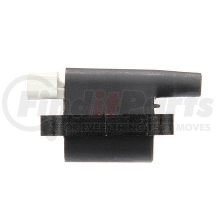 Delphi GN10397 Ignition Coil