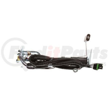 Delphi HP10019 Fuel Pump And Sender