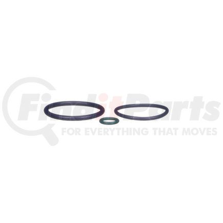 Delphi HTK112 ORING KIT