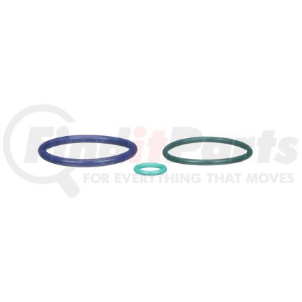 Delphi HTK123 INJECTOR ORING SEAL KIT