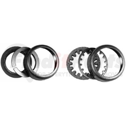 Dana 3.5-15-53 DANA ORIGINAL OEM, SPRING
