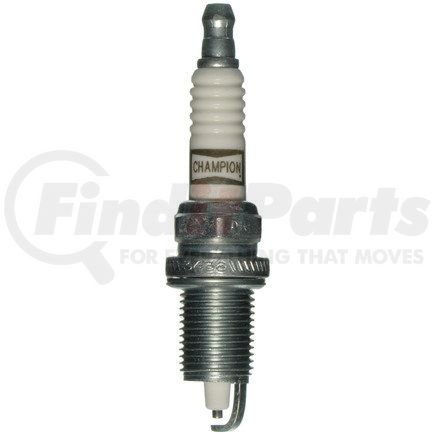 Champion 3436 Champion Platinum