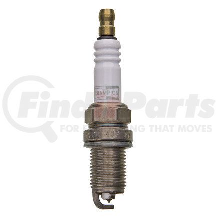Champion 7175 Champion DBL Plat