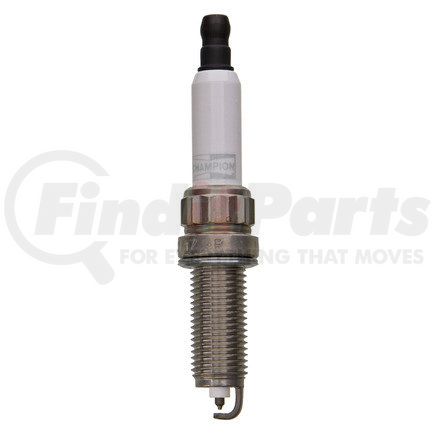 Champion 7426 Champion DBL Plat