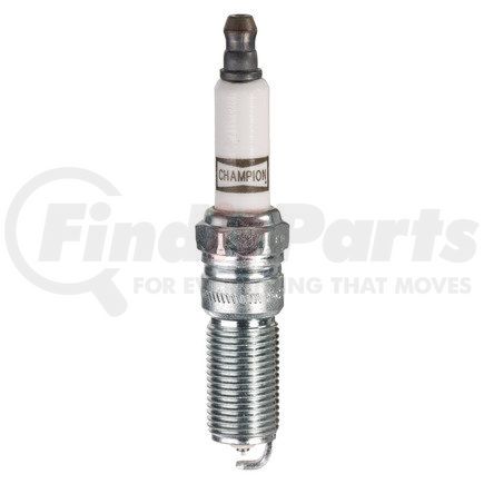 Champion 7981 Champion DBL Plat