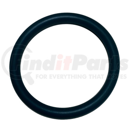 Navistar 1824735C1 RING