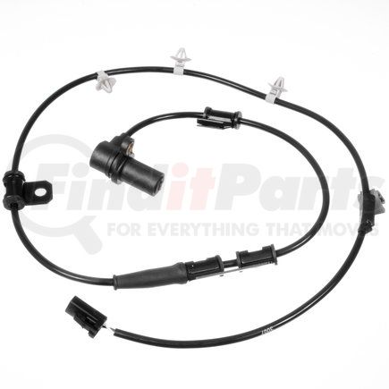 Holstein 2ABS0125