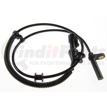 Holstein 2ABS0169