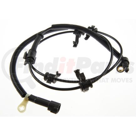 Holstein 2ABS0173