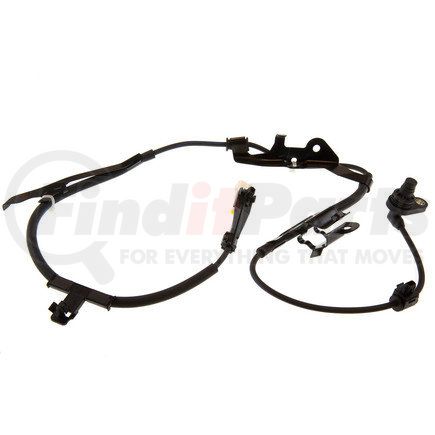 Holstein 2ABS0239