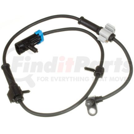 Holstein 2ABS0275