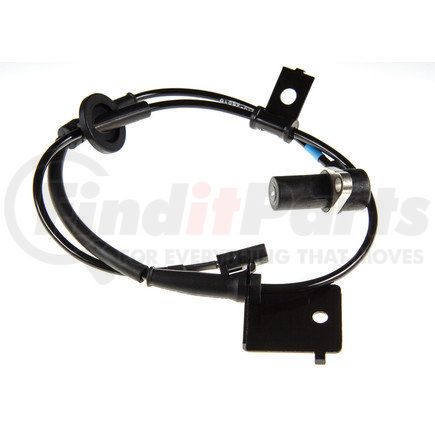 Holstein 2ABS0317