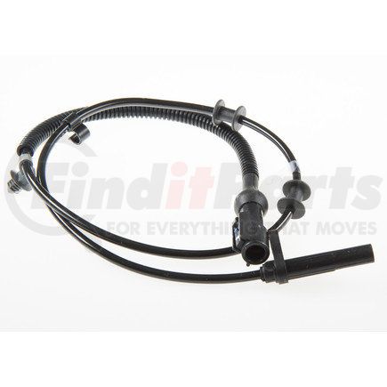 Holstein 2ABS0401