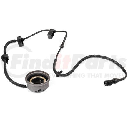 Holstein 2ABS0480