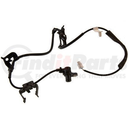 Holstein 2ABS0476
