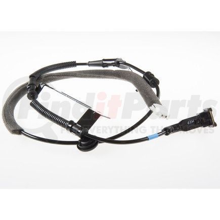Holstein 2ABS0573