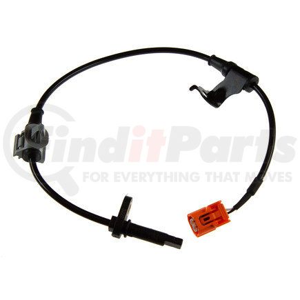 Holstein 2ABS0590