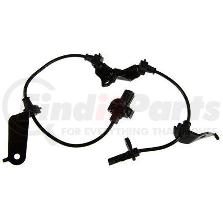 Holstein 2ABS0647