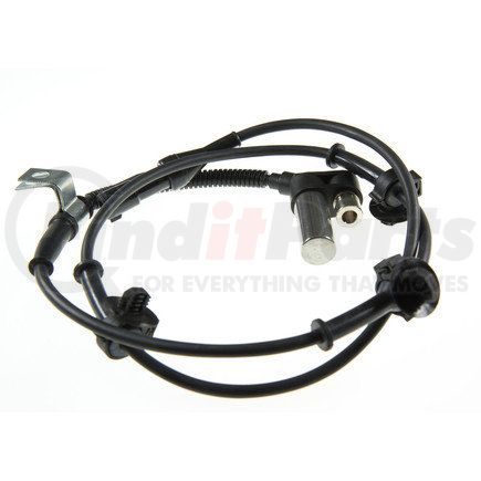 Holstein 2ABS0681