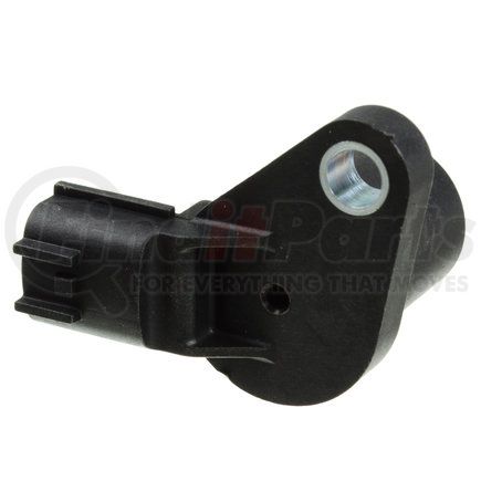 Holstein 2CAM0125
