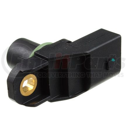 Holstein 2CAM0150
