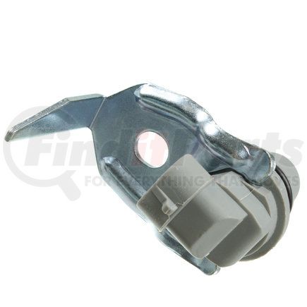 Holstein 2CAM0204