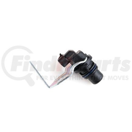 Holstein 2CAM0205