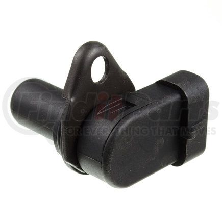 Holstein 2CAM0299